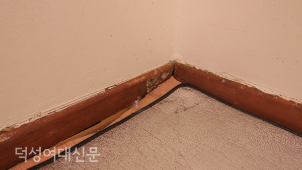 학생회관 지하 1층에 위치한 영어영문학과 과방은 바닥에서 올라오는 곰팡이를 막기 위해 매트를 깔아뒀다. 〈사진/황보경 기자〉